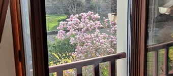 Peaceful 3-bedroom house in Vulaines-sur-Seine perfect for a country getaway.