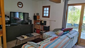 TV, DVD player, books, video library