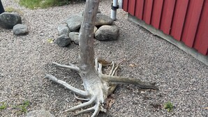 Ulkoalueet