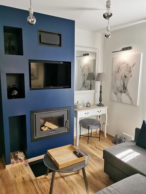 Smart TV, fireplace, stereo, printers - La Demeure du Faon 4/6 guest cottage jacuzzi swimming pool the heart of Sologne (Chaon)