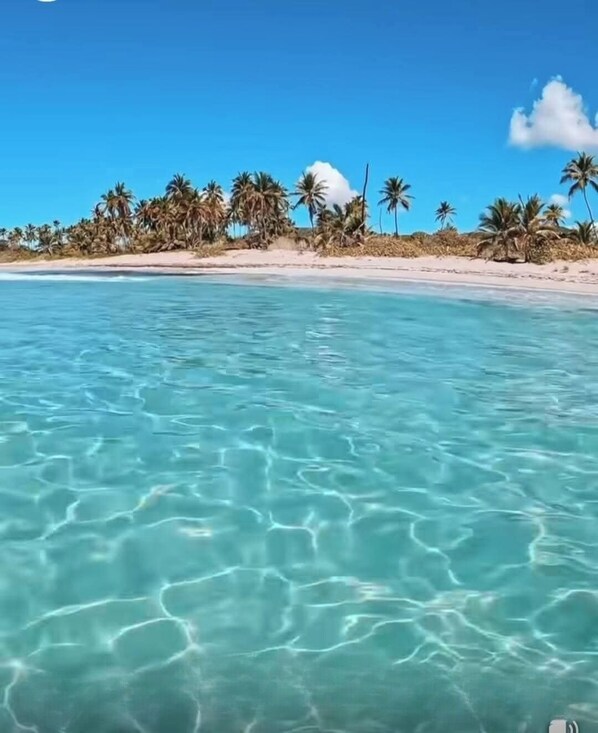 Beach - Casa Lola (Guanica)