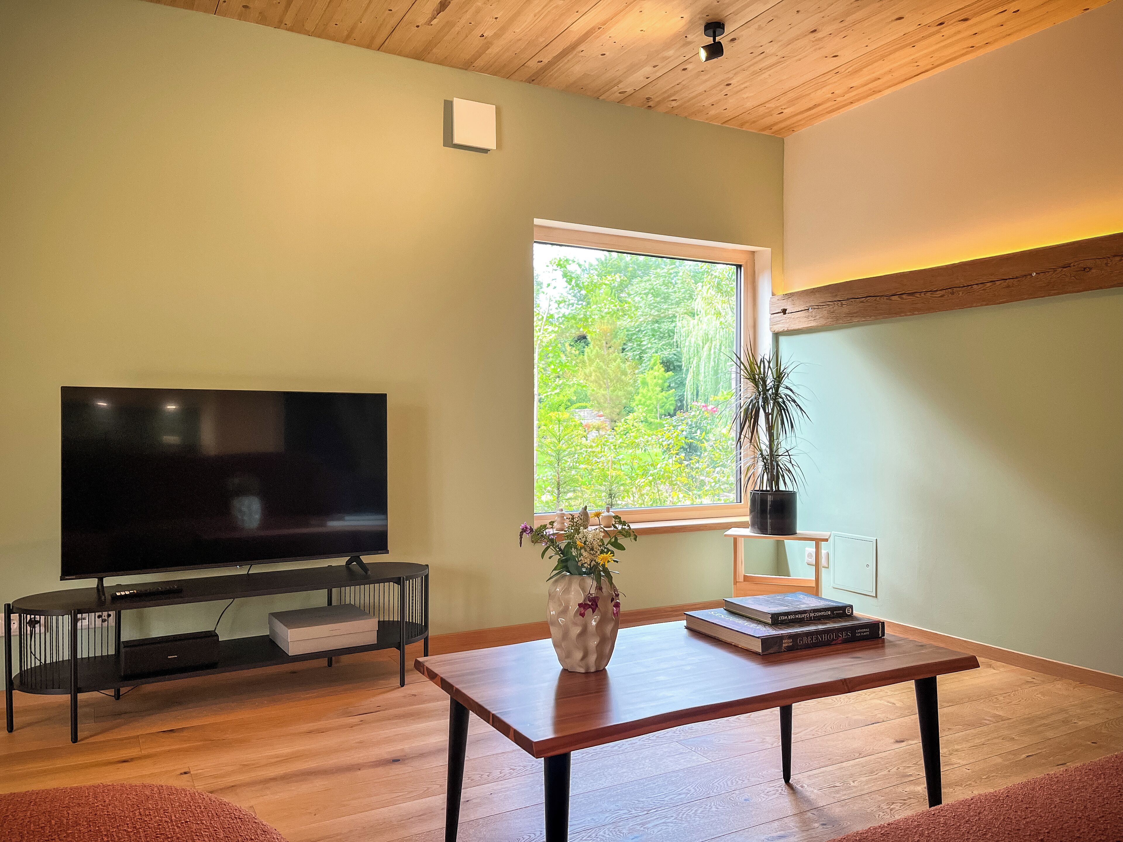 TV connectée, livres, chaîne hi-fi