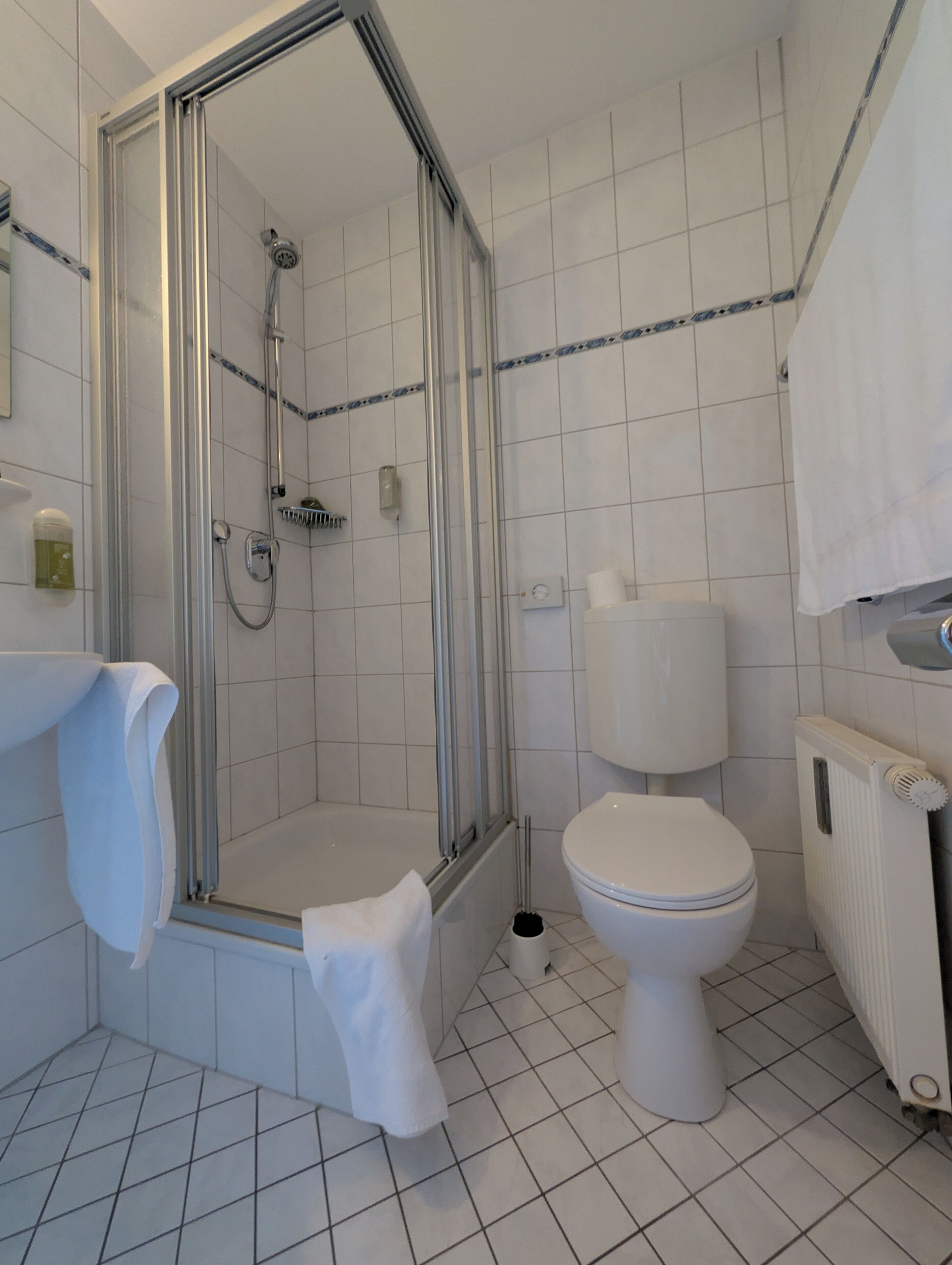 Un baño con ducha de vidrio, inodoro y radiador.