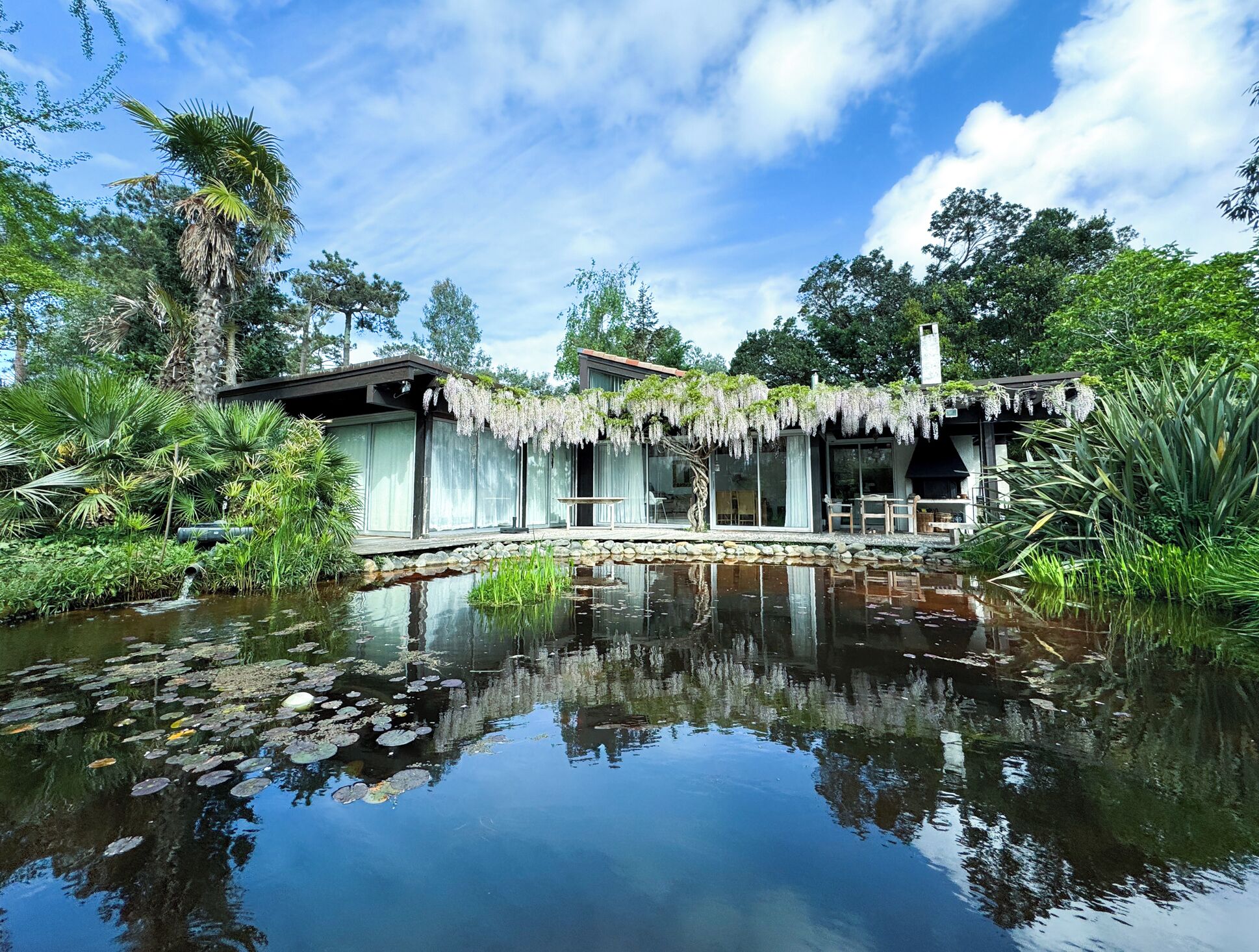 Uma casa moderna com um lago na frente, cercada por vegetação exuberante.