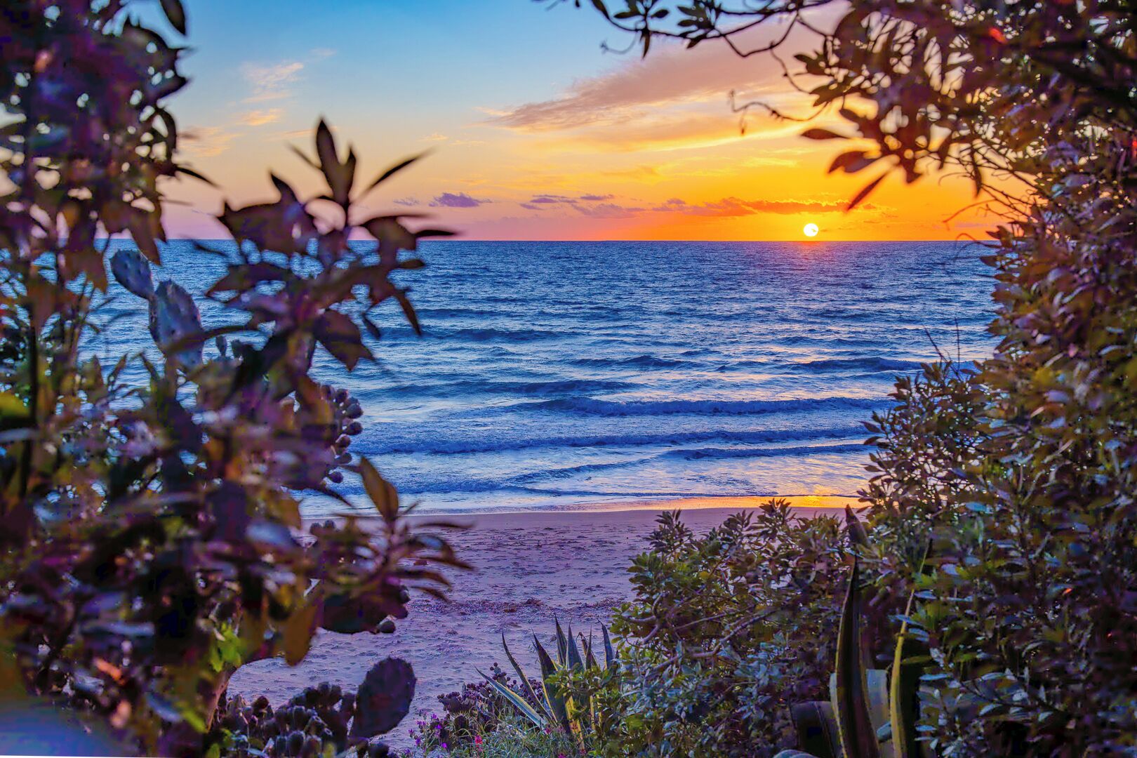 ビーチ、ビーチタオル