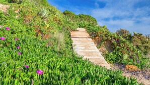 A stone staircase leading up a hill, surrounded by green vegetation and cacti. - Montalbano House by Biddizzi Rari - Direct access to the beach, beach house (Località San Marco)