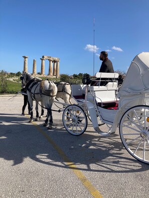 Ecotours - IRIS Garden (Corinth)