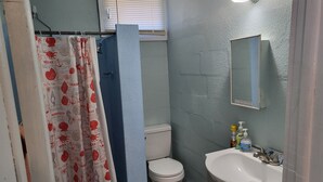 A bathroom with a white toilet, a sink with a mirror, and a shower curtain with a sea-themed pattern. - Adorable 2-bedroom house with AC in peaceful Steinhatchee (Steinhatchee)