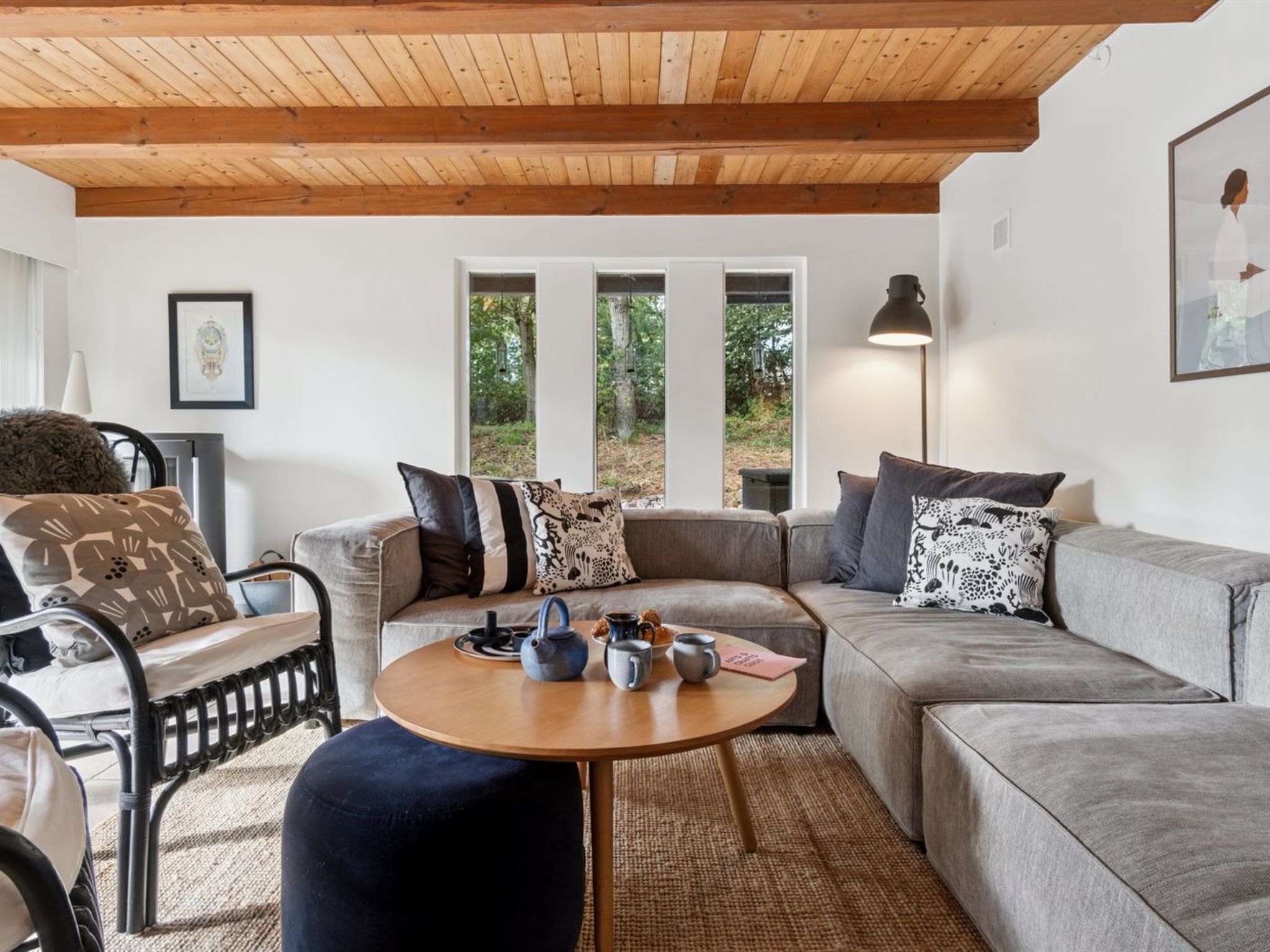 تلفزيون، مدفأة