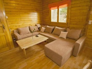 Televisión y chimenea 