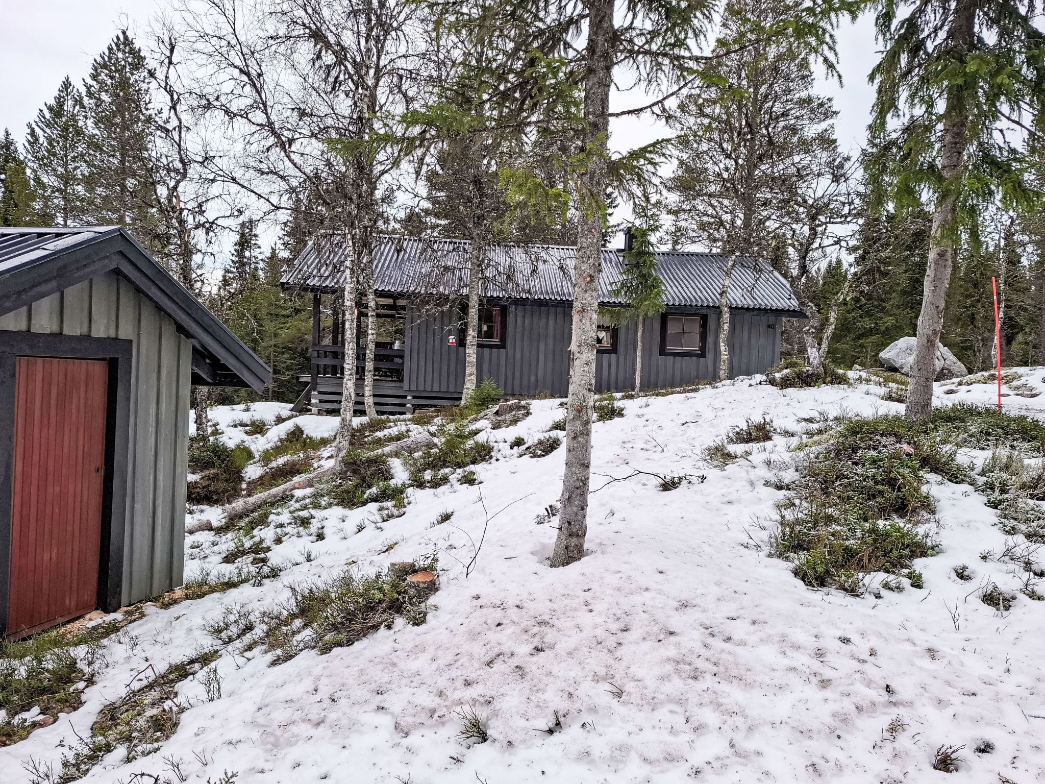 Eksteriør