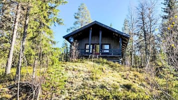 Ulkopuoli