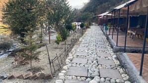 Unclassified image, 2 of 30, button - Aquatic resort (Chakrata)