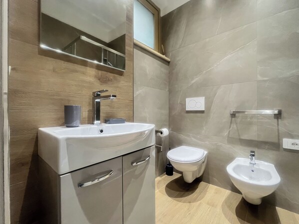 Ducha, secador de pelo, bidé y toallas