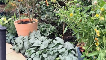 Shared Dormitory, 1 Bedroom, Smoking, Patio | Garden