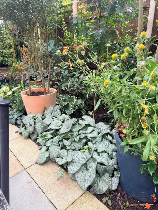 Shared Dormitory, 1 Bedroom, Smoking, Patio | Garden - Room-a King Size Double Bedroom In In Le (London)