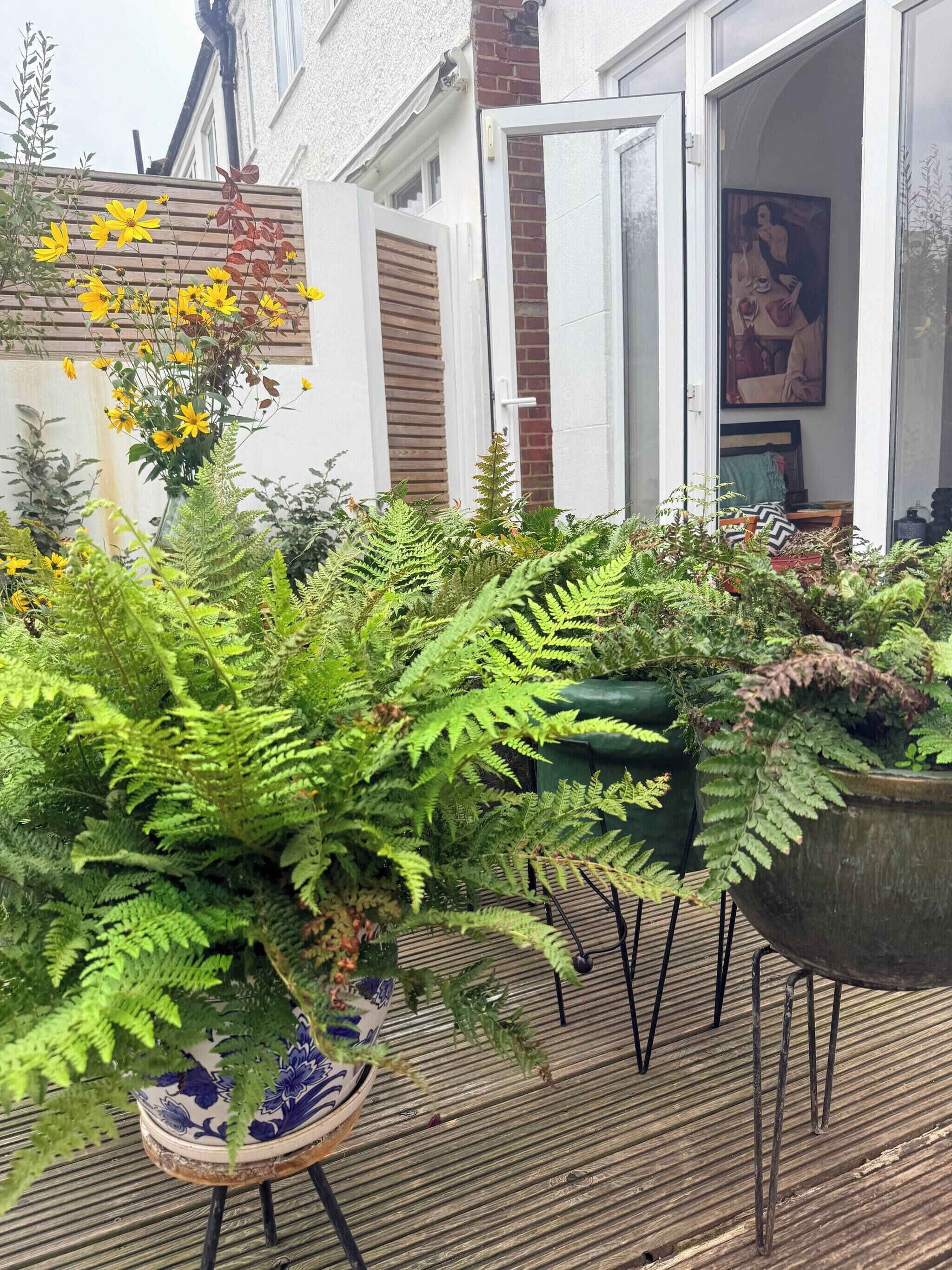 Dortoir Partagé, 1 chambre, fumeurs, patio | Enceinte de l’hébergement