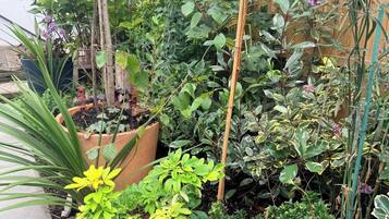 Shared Dormitory, 1 Bedroom, Smoking, Patio | Exterior detail