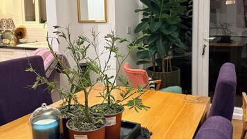 Dormitorio compartido, 1 habitación, para fumadores, patio | Sala de estar
