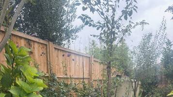 Shared Dormitory, 1 Bedroom, Smoking, Patio | Garden