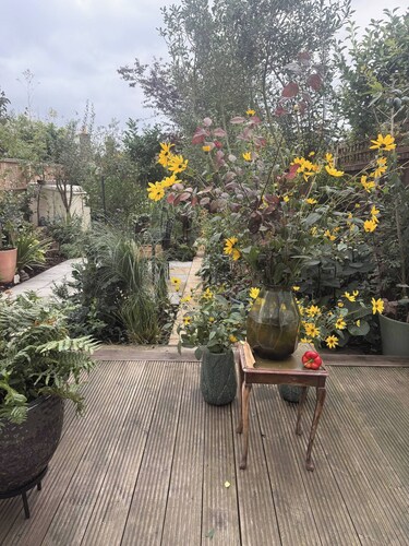 Room-a Large Kingsize Room To Rent