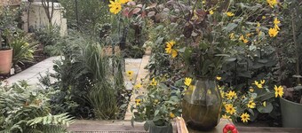 Room-a Large Kingsize Room To Rent