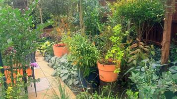 Shared Dormitory, 1 Bedroom, Smoking, Patio | Garden