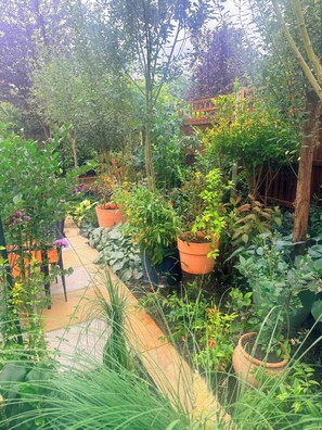 Shared Dormitory, 3 Bedrooms, Smoking, Patio | Garden - Room-a Large Kingsize Room To Rent (London)