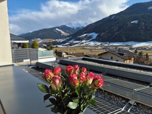 Ein Balkon mit einer Rosenvase, einer Solaranlage und einer bergigen Landschaft im Hintergrund.