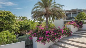 Property grounds - Villa Royale design villa with private pool, gym and gameroom (Jan Thiel)