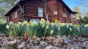 Une cabane en rondins avec un toit symétrique et de nombreuses fenêtres.