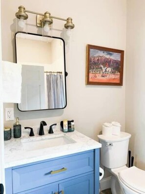 Shower, hair dryer, towels, shampoo - Pet-Friendly Home with Fenced Yard (Raleigh)