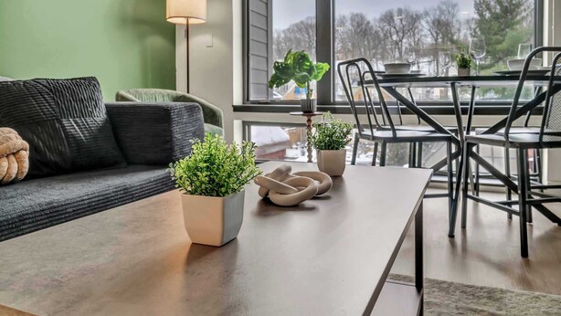 A modern living room with a sofa, a coffee table, and a dining area with chairs and a table. There are potted plants on the coffee table. - Little Italy & CWRU w King BedGymParkingWD (Cleveland)