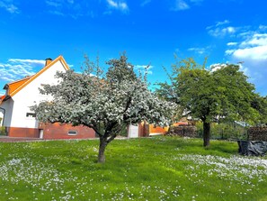 Property grounds - Vacation apartment Waldblick Bückeburg (Bückeburg)