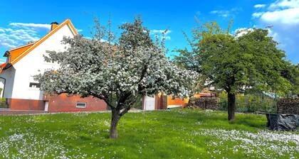 Ferienwohnung Waldblick Bückeburg
