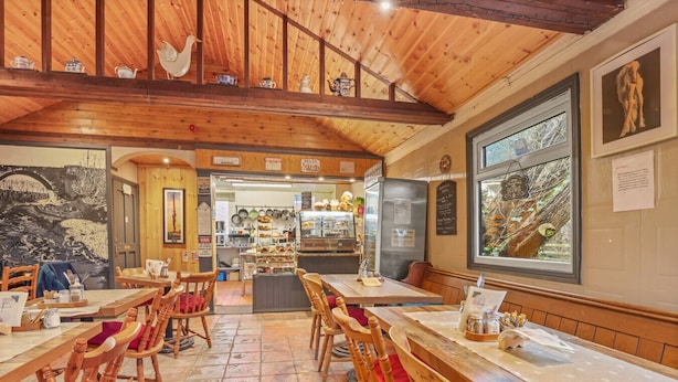 Ein gemütliches Restaurant mit Holzvertäfelung, einer Kaffeebar und Blick auf Bäume durch das Fenster.