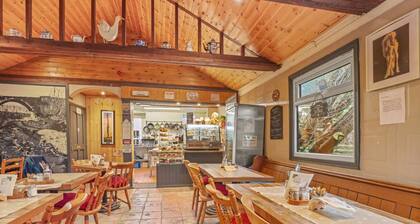 Roxy`s Cottage - North East Escapes