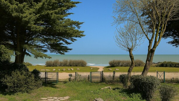 Un paysage côtier avec un sentier menant à la plage, bordé d’arbres et entouré d’une clôture.