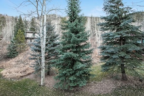 Property grounds - Wonderful Townhome, On Shuttle Route (Vail)