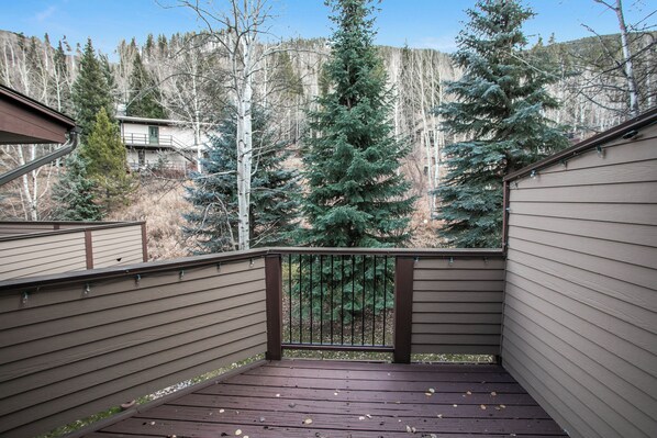 Property grounds - Wonderful Townhome, On Shuttle Route (Vail)