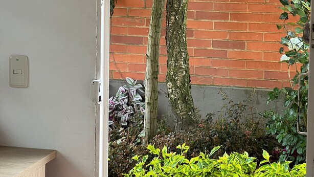 Une porte qui donne sur un jardin, avec un mur en briques, un arbre et des plantes en fleurs.