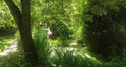 Private house for exclusive use – 250 m² with a large garden