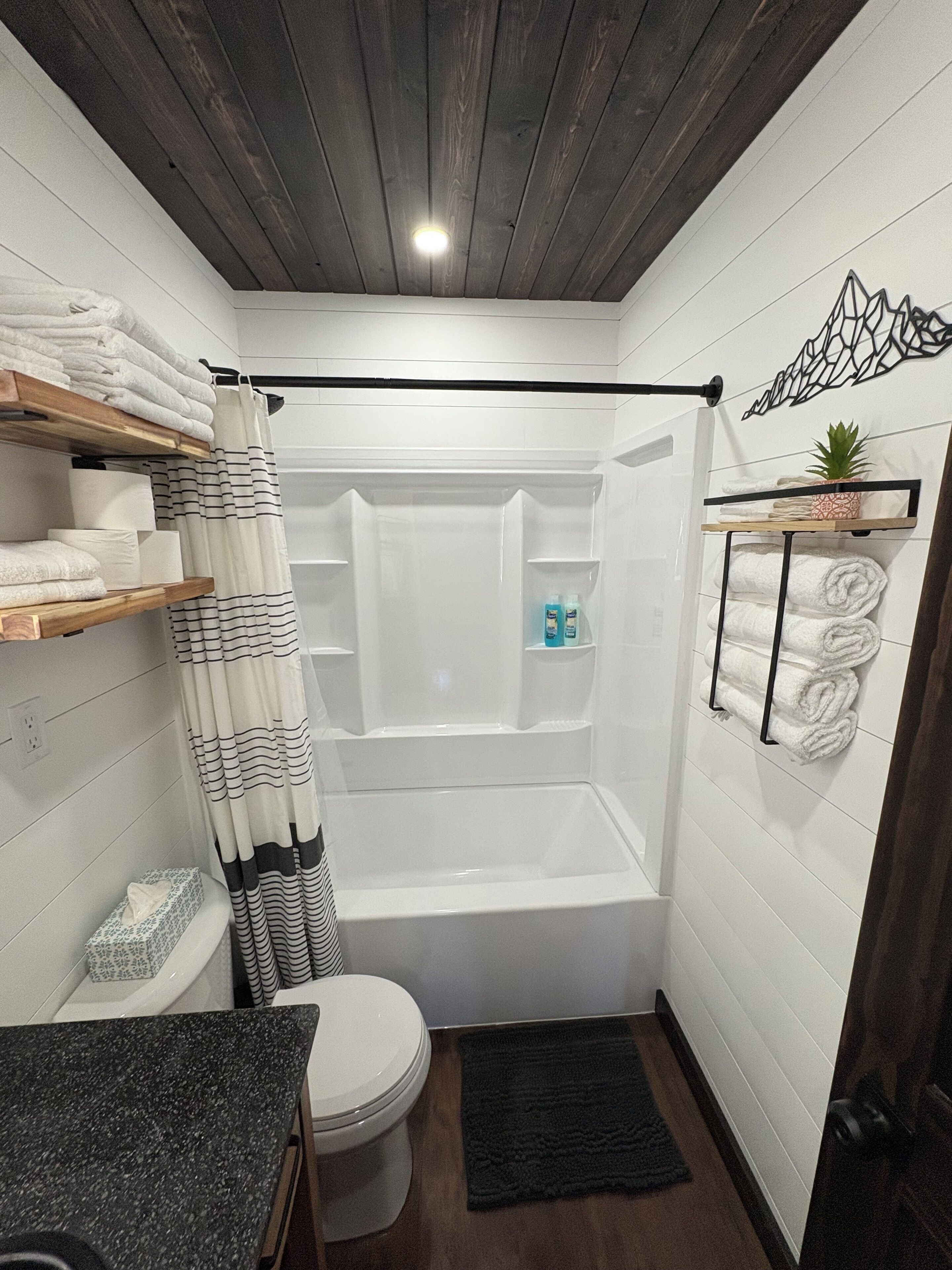 Towels, soap, shampoo, toilet paper