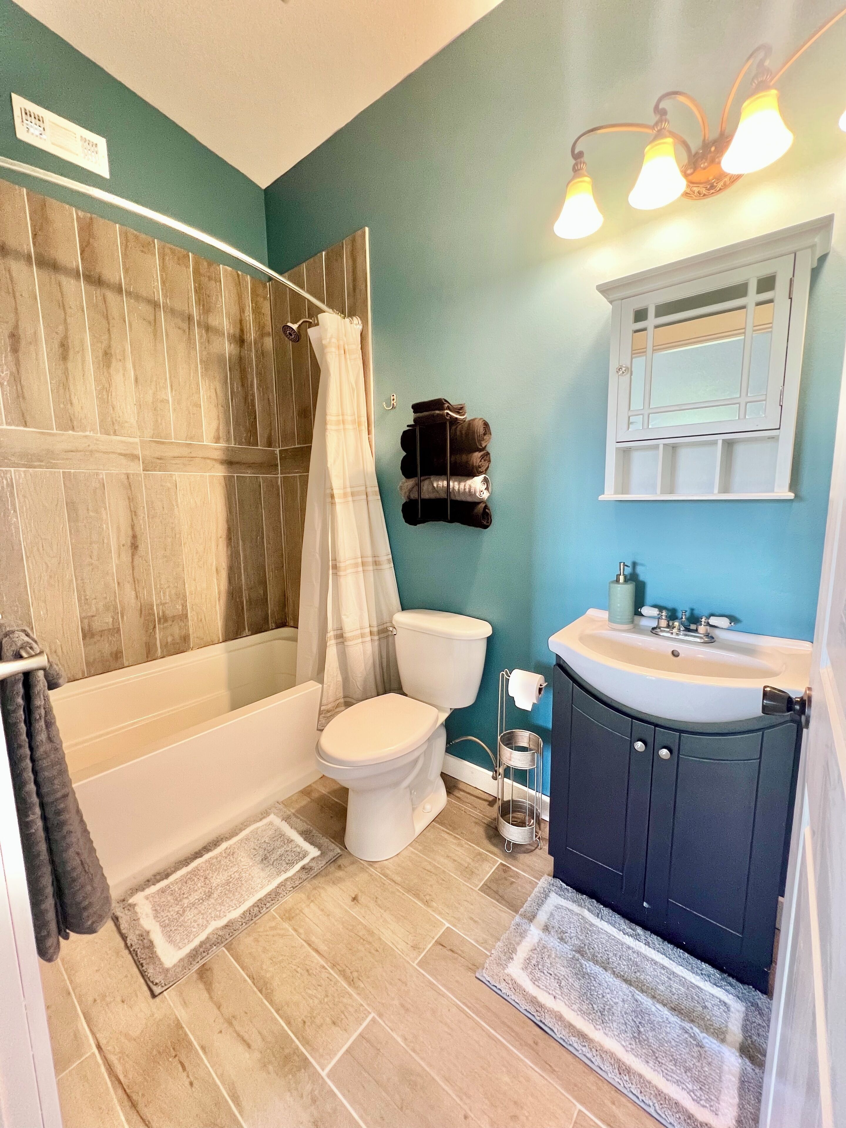 Hair dryer, towels, soap, toilet paper