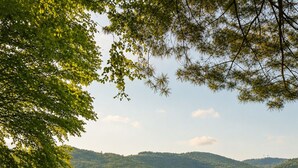 A house with a fenced yard, a dog, and a hilly landscape in the background. - Parkway Paradise Cozy Retreat Blue Ridge Parkway Family & Pet Friendly  (Laurel Springs)