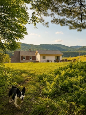 Exterior - Parkway Paradise Cozy Retreat Blue Ridge Parkway Family & Pet Friendly  (Laurel Springs)