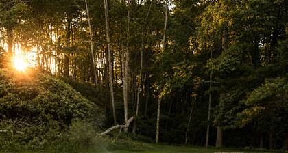 Parkway Paradise Cozy Retreat Blue Ridge Parkway Family & Pet Friendly