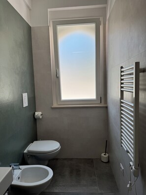 Dusche, Haartrockner, Bidet, Handtücher