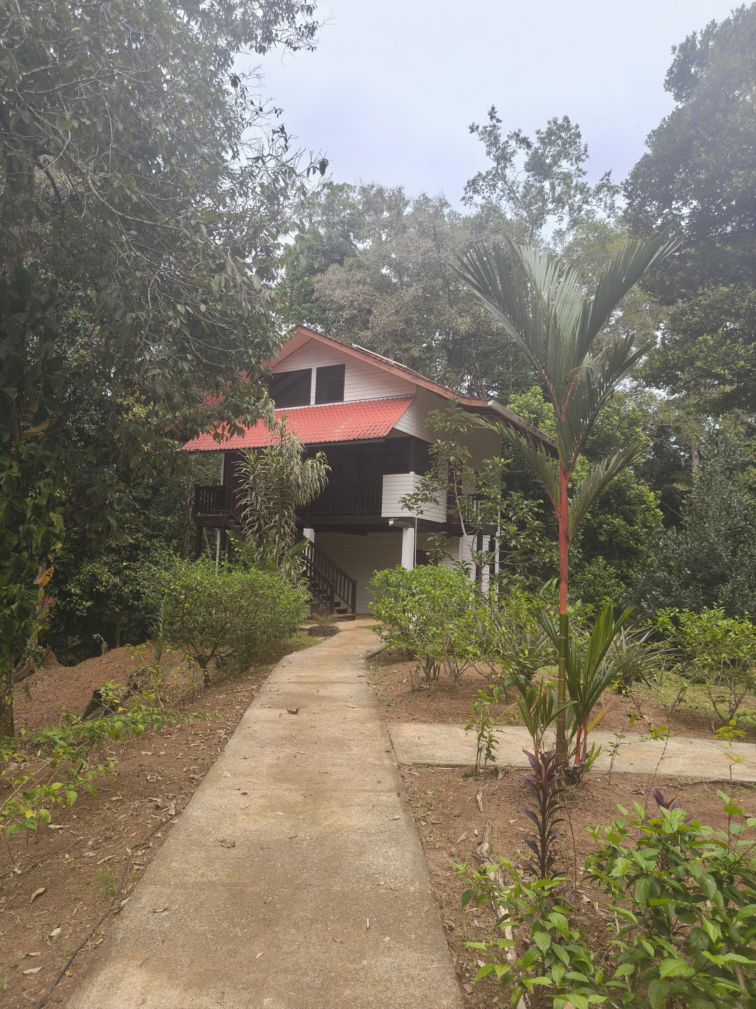 Standard Bungalow | Exterior