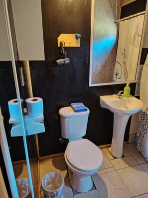 Dusche, Haartrockner, Handtücher, Seife